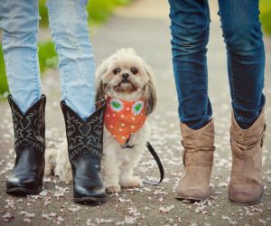 Cowgirl Chic 2.0: Η νέα εποχή των μυρίζει… Δύση