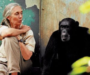 Jane Goodall: «Δεν θέλω να εξηγήσω όλη τη ζωή μέσα από την επιστήμη. Υπάρχει τόσο πολύ μυστήριο. Υπάρχει τόσο δέος»