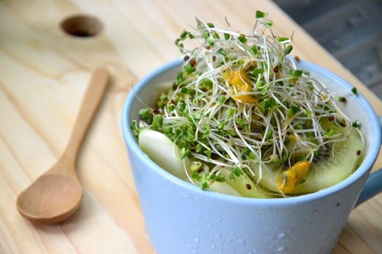 fitres-brokolo-salata