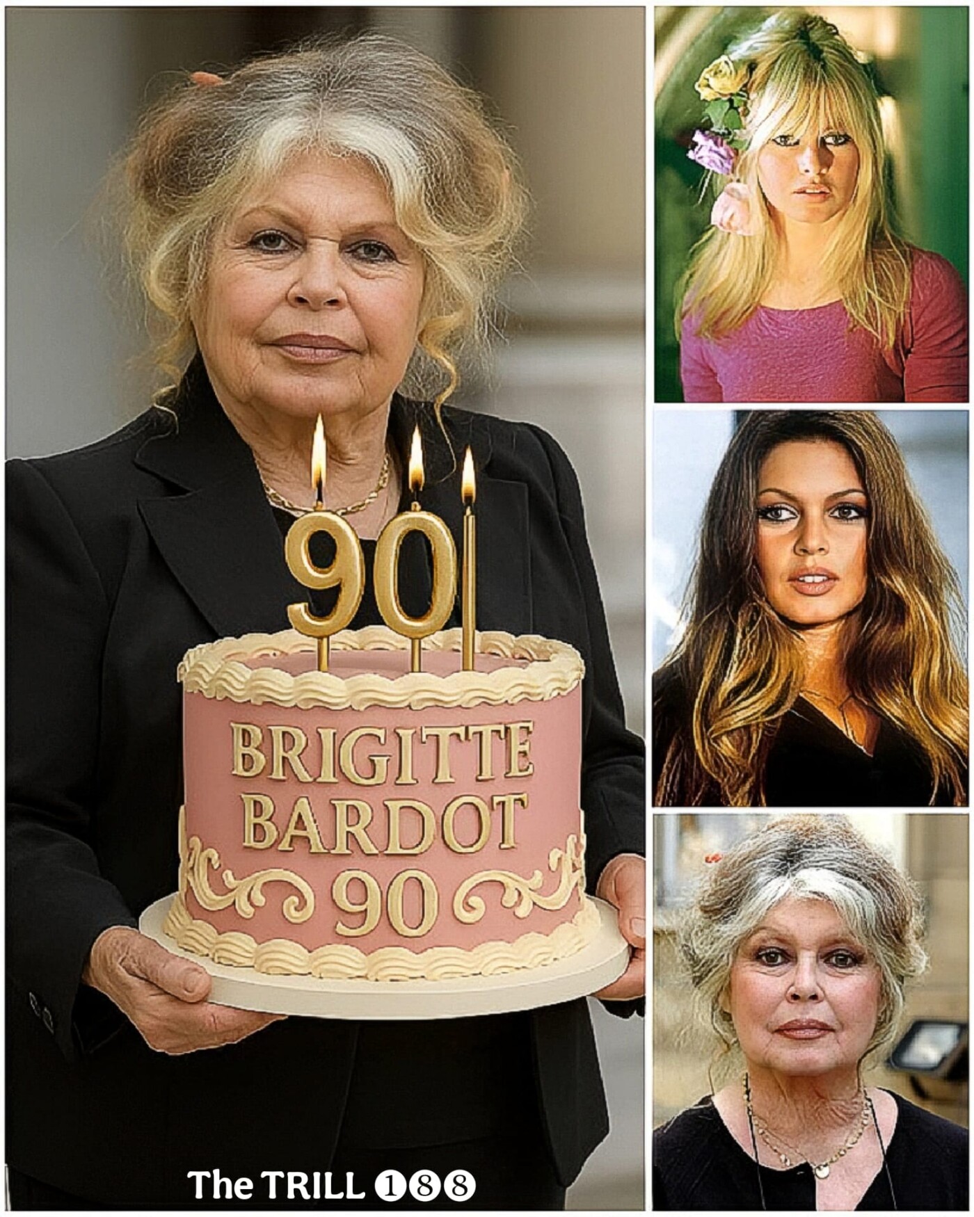 Brigitte Bardot: «Έχω υπάρξει πολύ χαρούμενη, πολύ πλούσια, πολύ όμορφη, πολύ λατρεμένη, πολύ διάσημη και πολύ δυστυχισμένη»