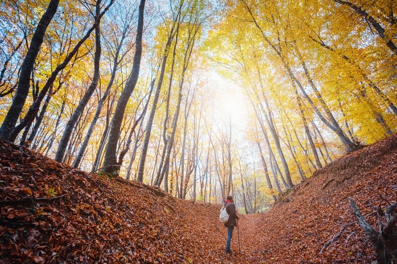 fall