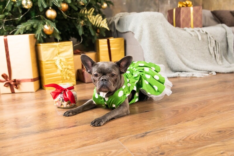 grinch
