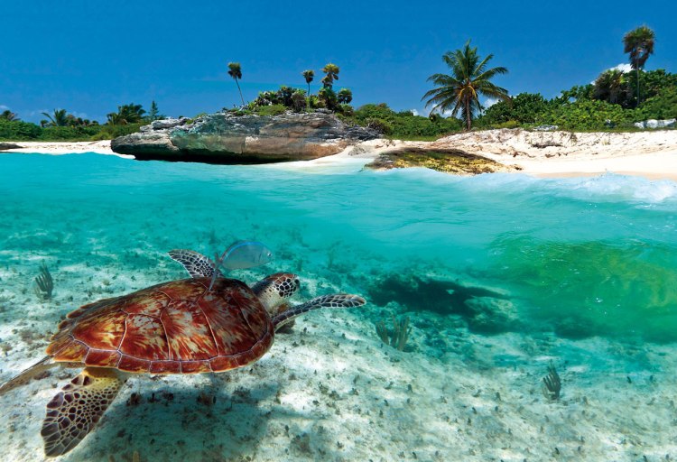 barbuda-1.jpg