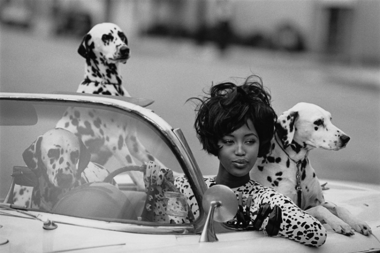 3models3beautyicons--01.jpg