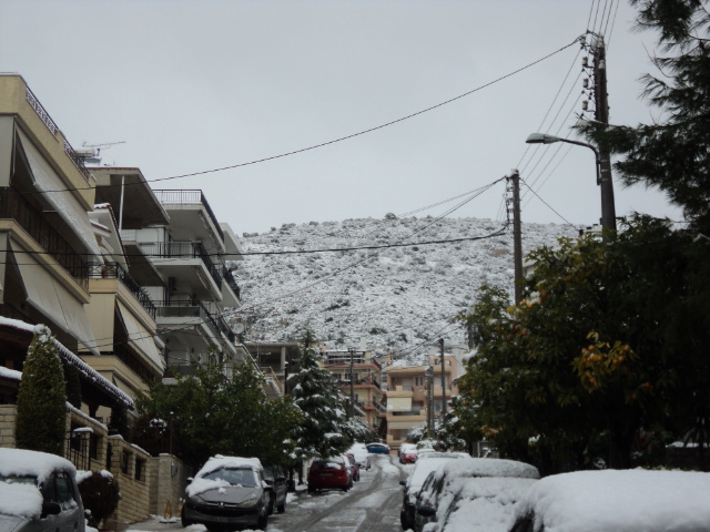 DSC02994.JPG