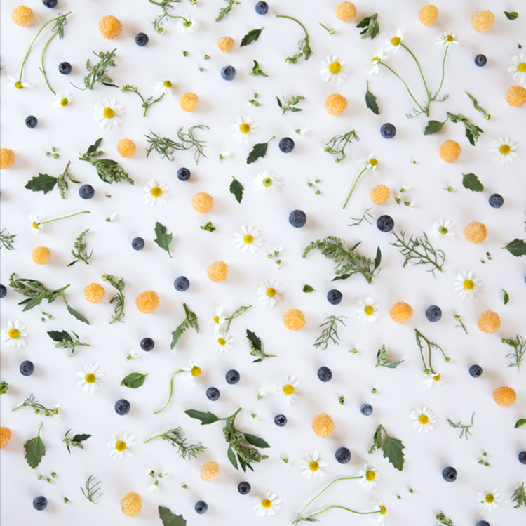 foodcollage3.jpg