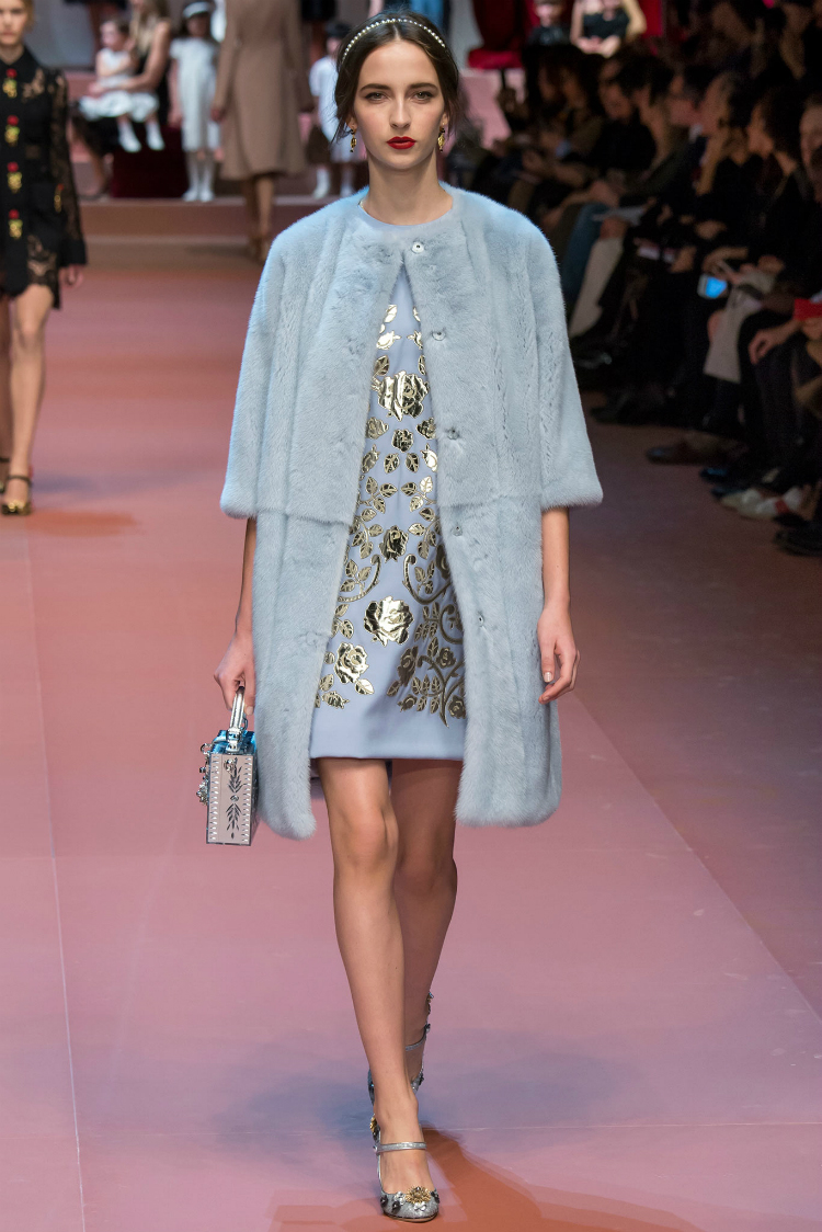d&gfall15_6.jpg