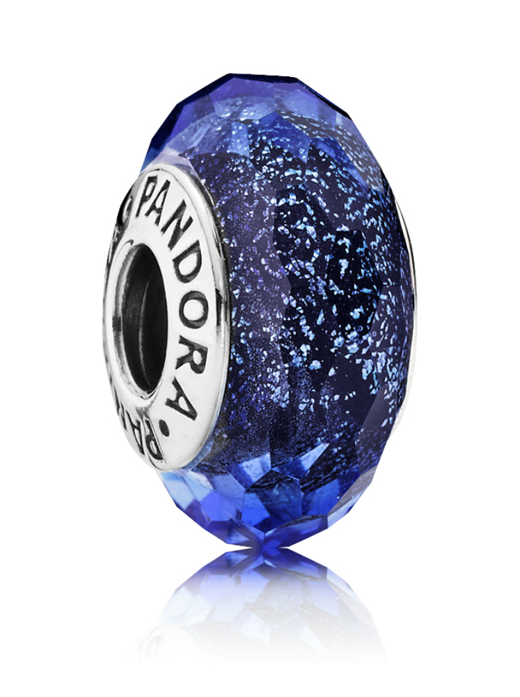 charmbracelet_pandora_05.jpg