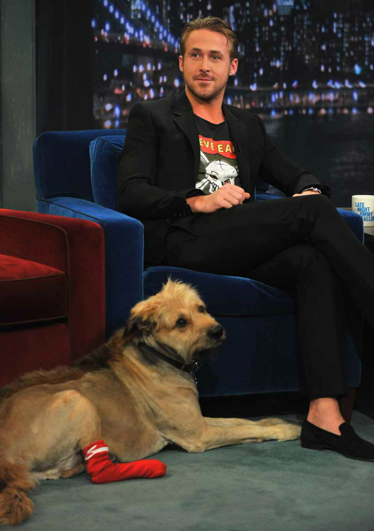 ryangosling.jpg