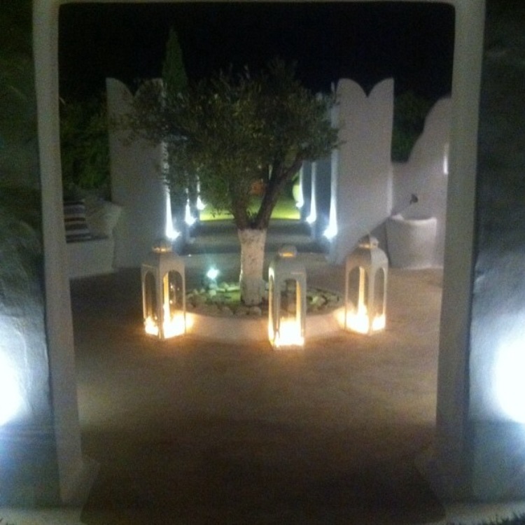 image41.jpeg