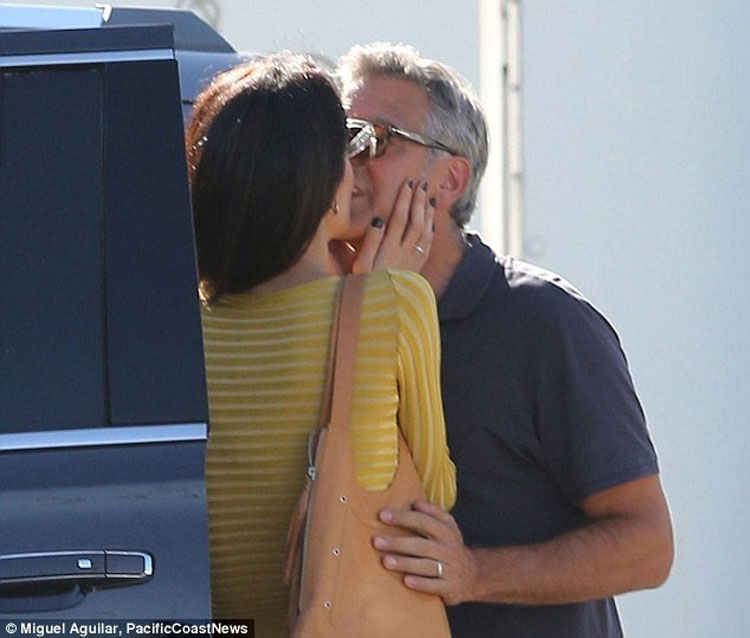 aaammalclooney5.jpg