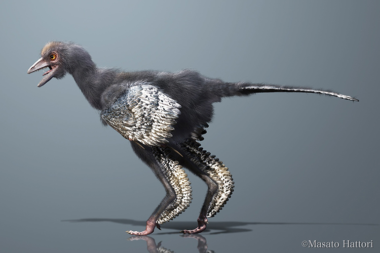 birdstodino750.jpg
