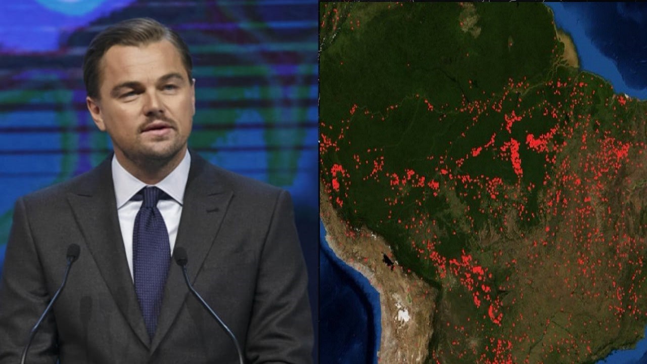 dicaprio.jpg