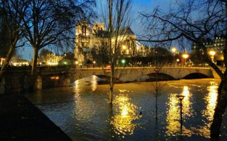 parisιmesa.jpg