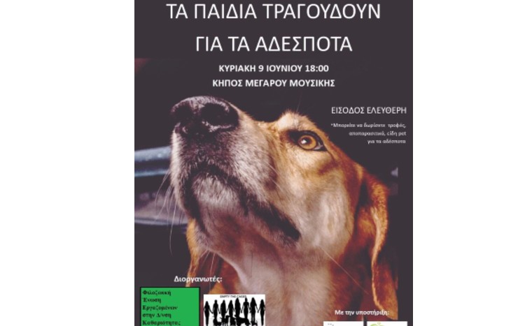 dogmesa.jpg