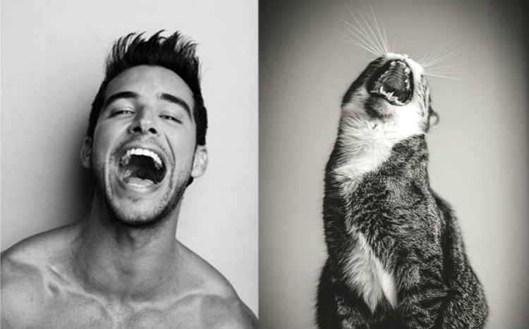 allyou_menandcats_internal001.jpg