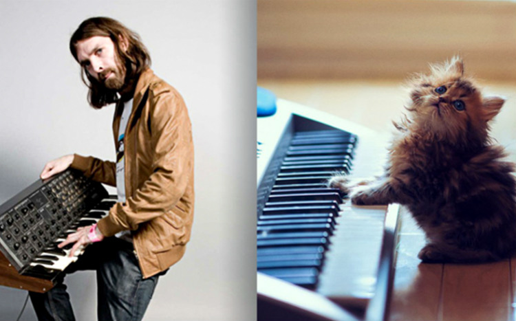 allyou_menandcats_internal002.jpg
