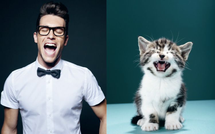 allyou_menandcats_internal003.jpg