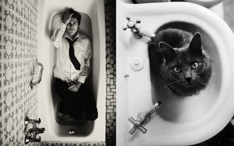 allyou_menandcats_internal004 - Αντιγραφή.jpg