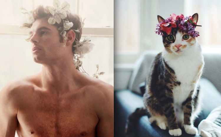 allyou_menandcats_internal006.jpg