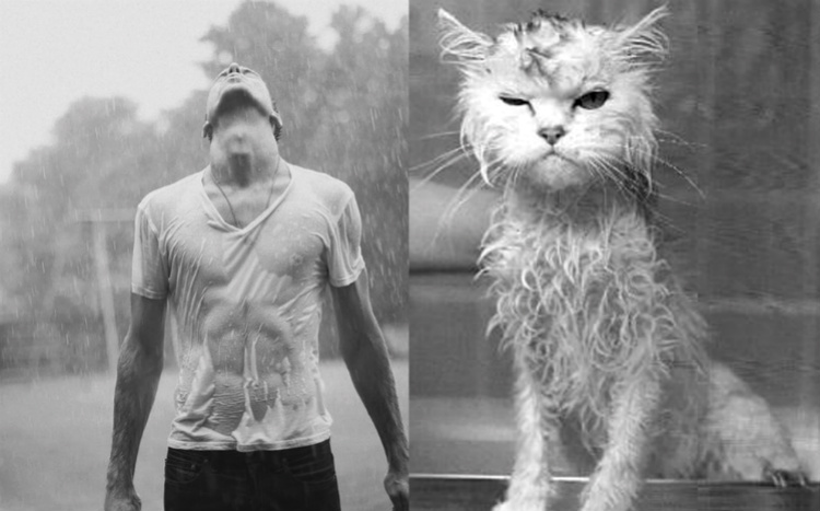 allyou_menandcats_internal007.jpg