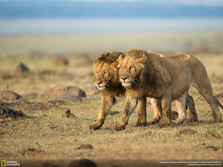Kenya750.jpg