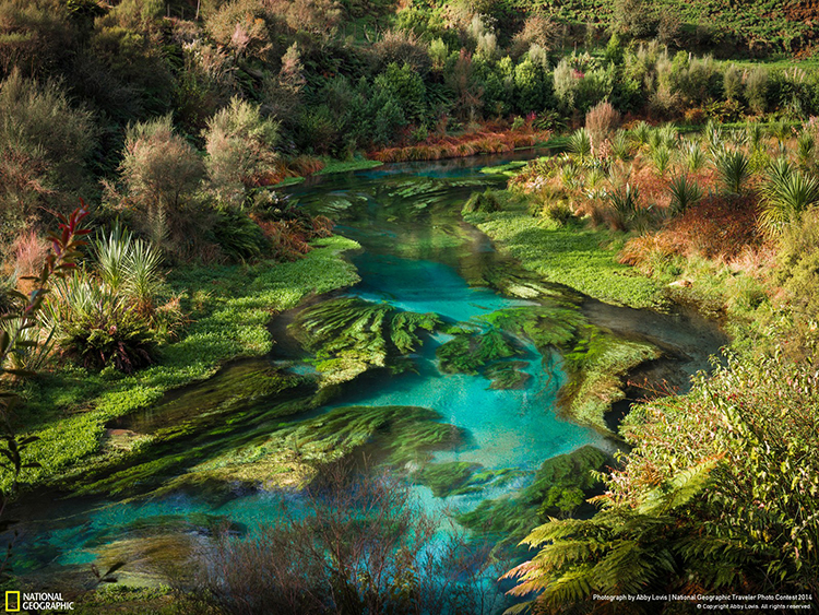 New Zealand750.jpg