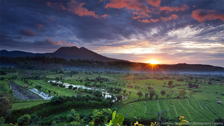 bali750.jpg