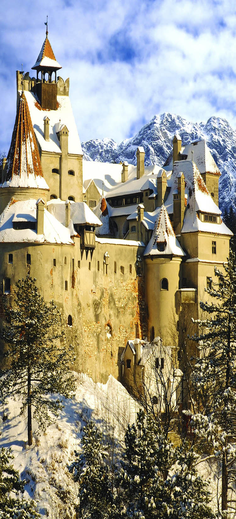 castle2.jpg