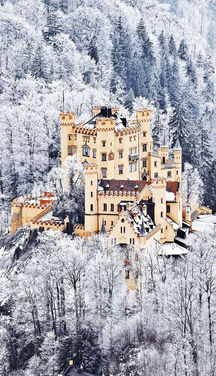 castle9.jpg