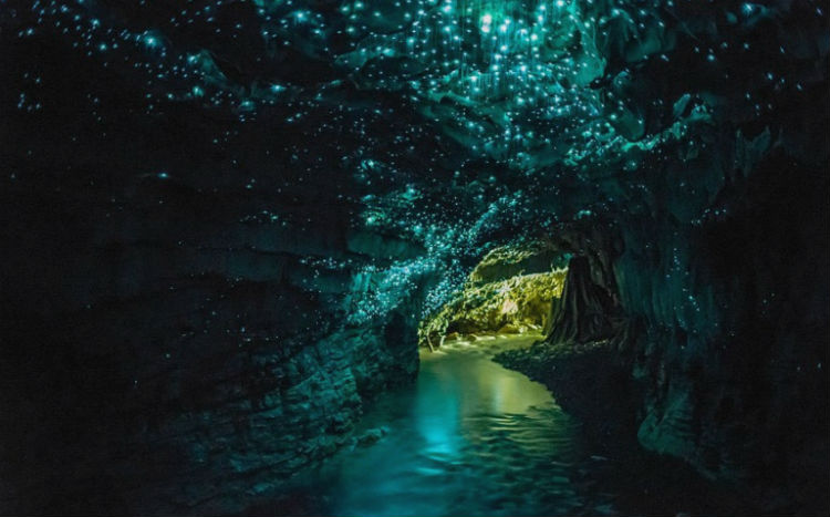allyou_views_waitomocaves.jpg