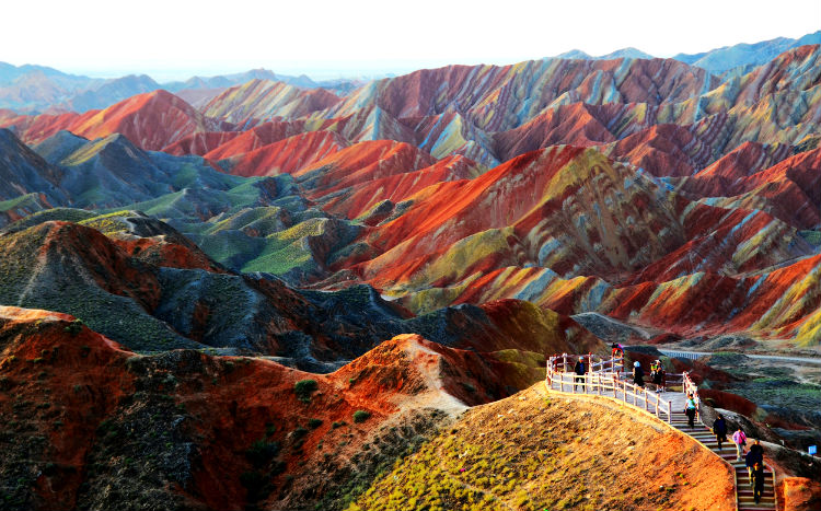 allyou_views_zhangyedanxia.jpg