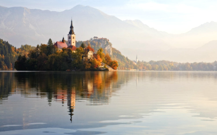 allyou_bled_big.jpg