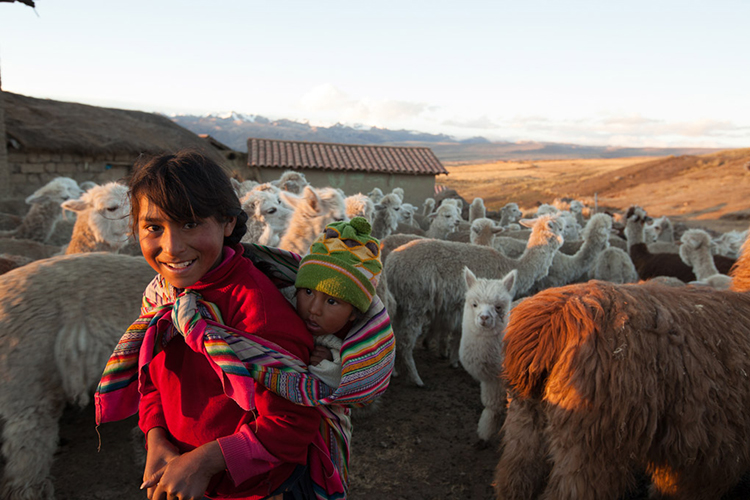 uruma_peru750.jpg