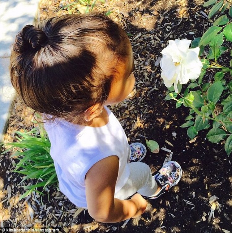 274320D600000578-3024713-Living_life_to_the_fullest_Kim_Kardashian_posted_a_heartwarming_-a-6_1428085656015.jpg