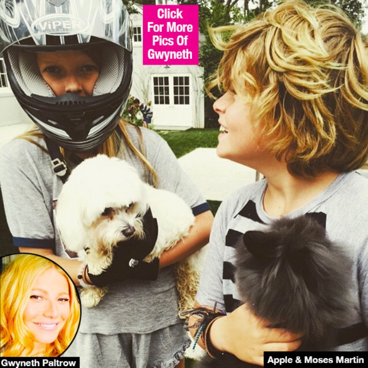 gwyneth-paltrow-daughter-twin-apple-moses-lead.jpg