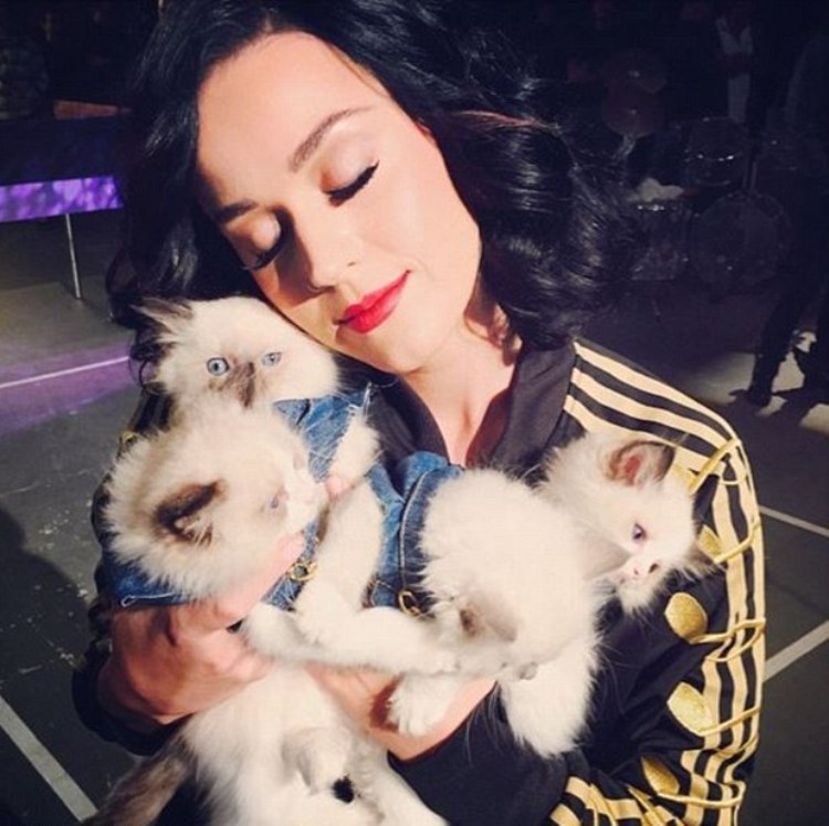 1415174273753_wps_6_katy_perry_0501_JPG.jpg