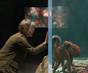 Η διασκευή του Remarkably Bright Creatures έρχεται στο Netflix - δες το τρέιλερ