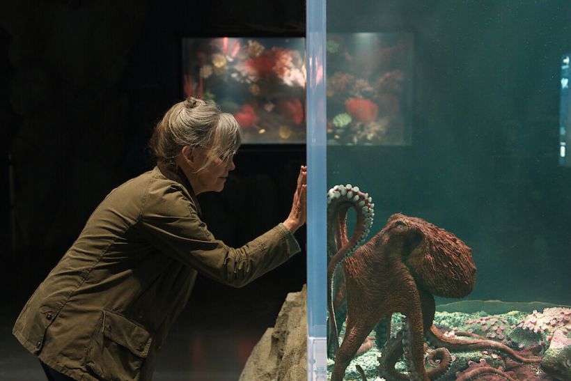 Η διασκευή του Remarkably Bright Creatures έρχεται στο Netflix - δες το τρέιλερ