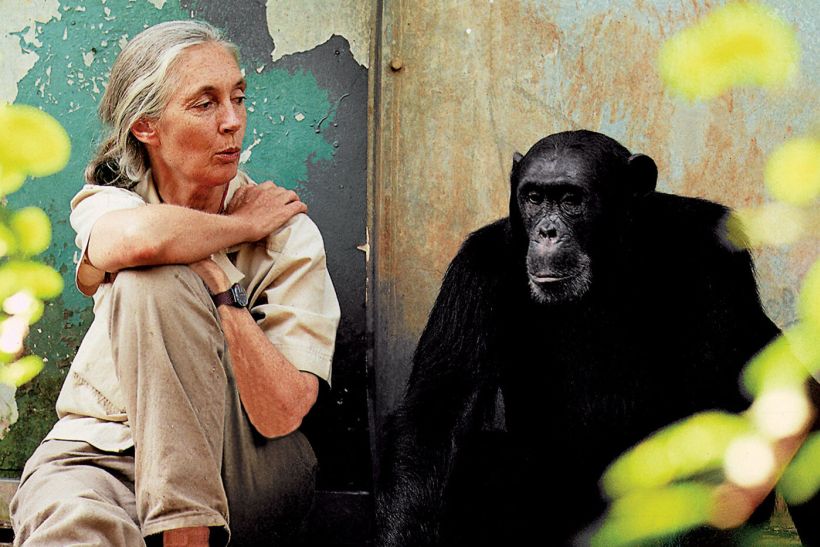 Jane Goodall: «Δεν θέλω να εξηγήσω όλη τη ζωή μέσα από την επιστήμη. Υπάρχει τόσο πολύ μυστήριο. Υπάρχει τόσο δέος»